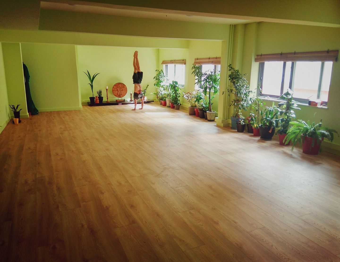 La Maison du Mouvement
